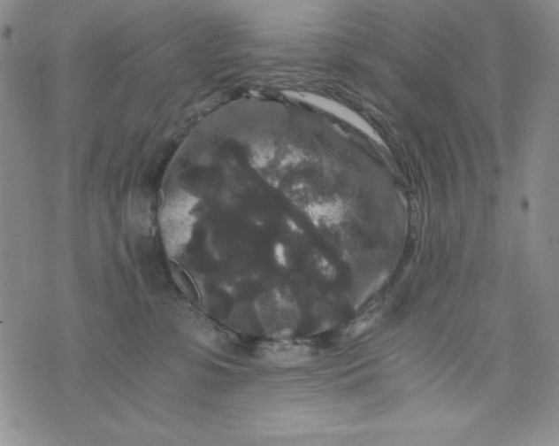 X0000076270331200610122301