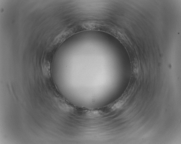 X0000076270332200610122301