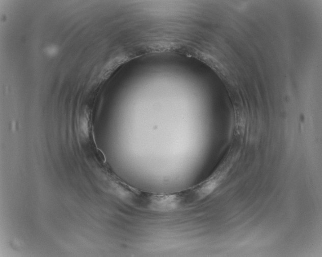 X0000076270334200610122301