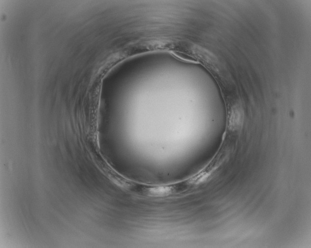 X0000076270335200610122301