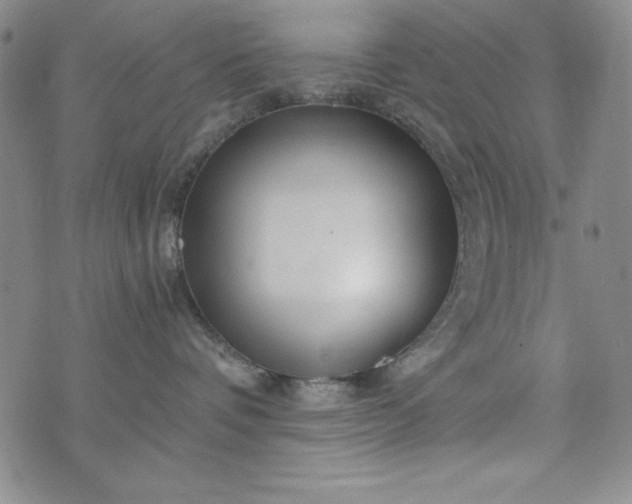 X0000076270336200610122301