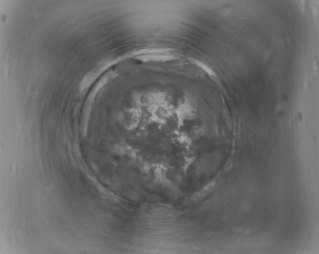 X0000076270337200610122300