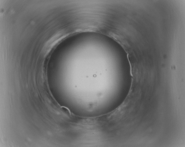 X0000076270338200610122300