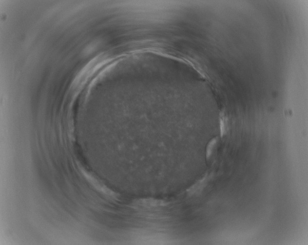 X0000076270339200610122300