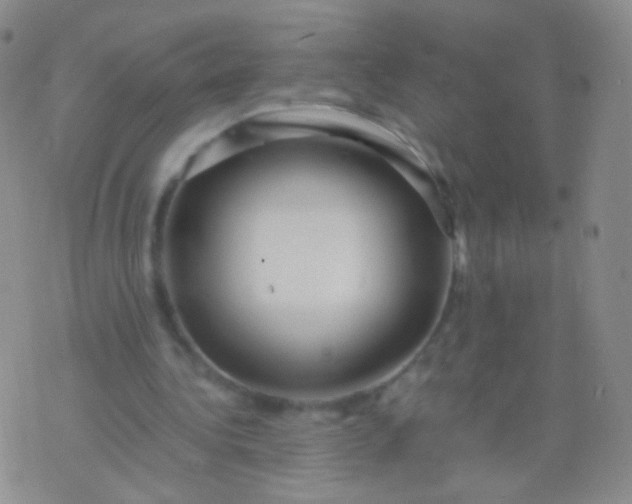 X0000076270340200610122300