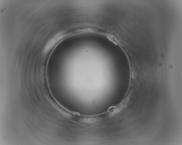 X0000076270341200610122300