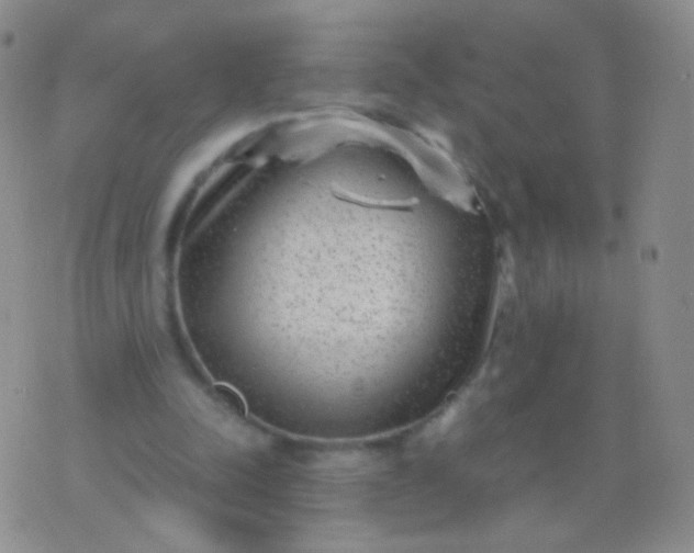 X0000076270342200610122300