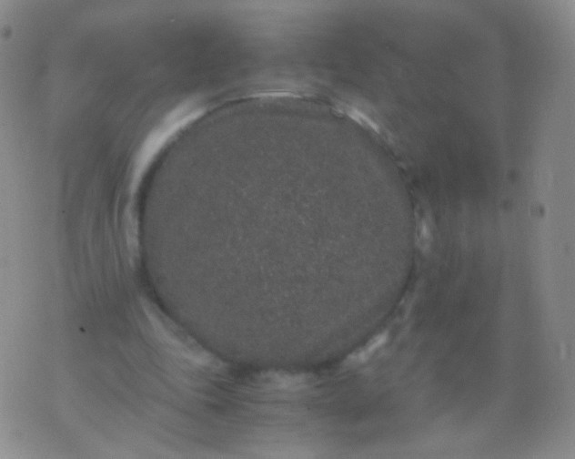 X0000076270343200610122300