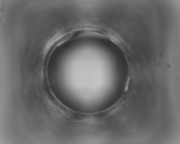 X0000076270344200610122300