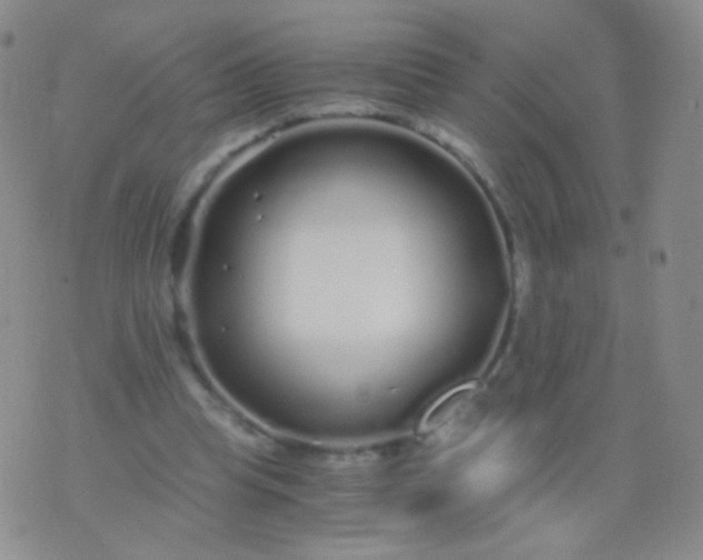 X0000076270345200610122300