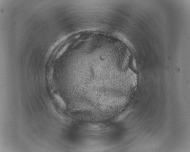 X0000076270346200610122300