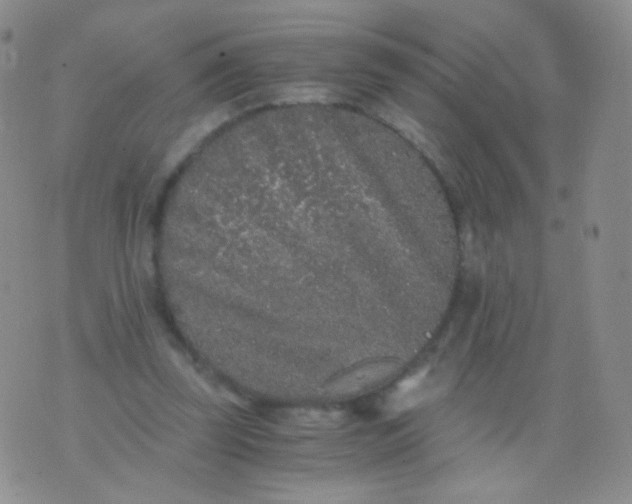 X0000076270347200610122300