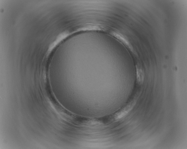 X0000076270348200610122301