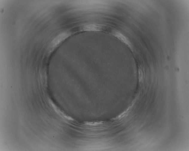 X0000076270349200610122301