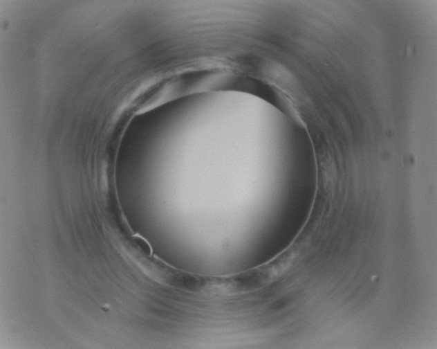 X0000076270350200610122301