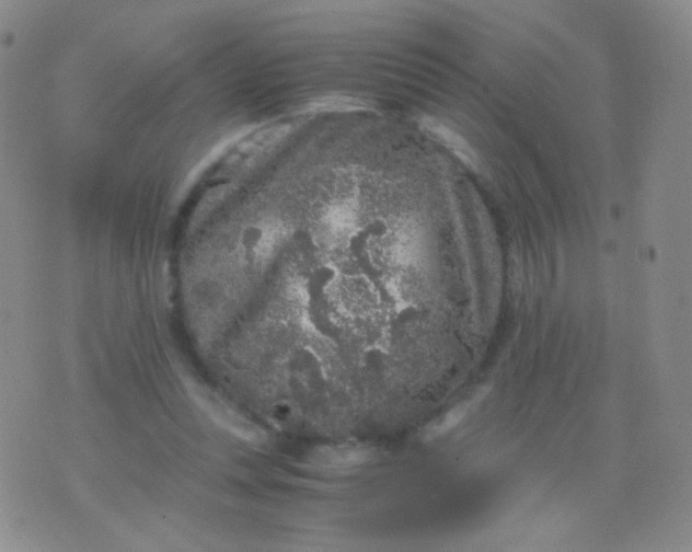 X0000076270351200610122301