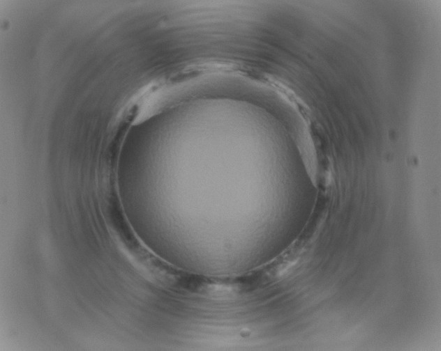 X0000076270352200610122301