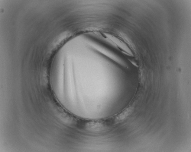 X0000076270354200610122301