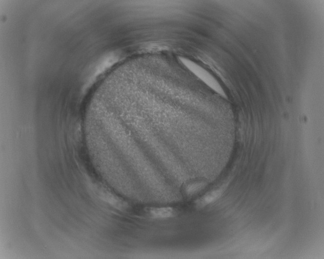 X0000076270355200610122301