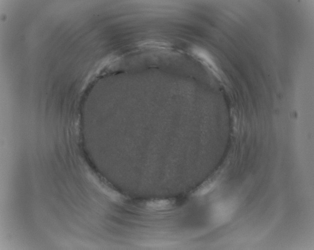 X0000076270357200610122301