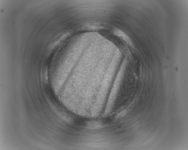 X0000076270358200610122301