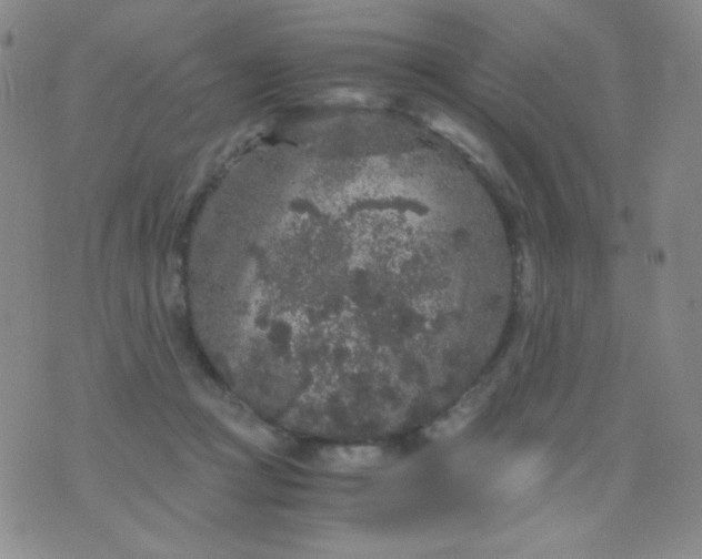 X0000076270361200610122301