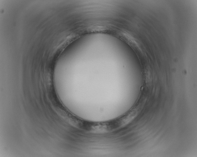 X0000076270362200610122301