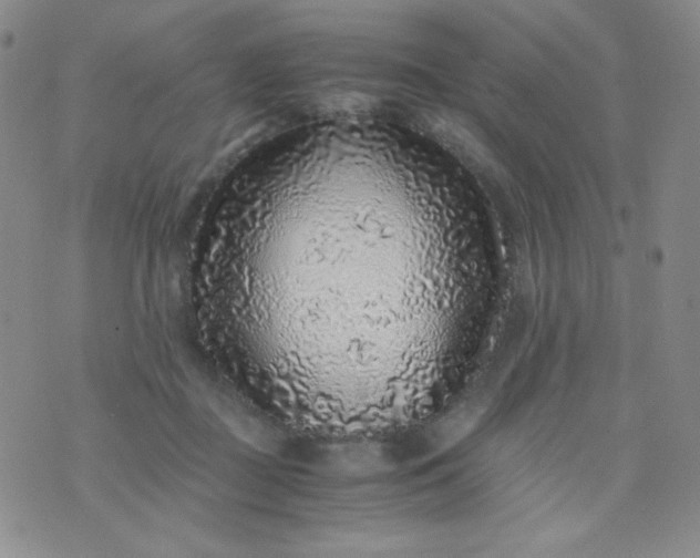 X0000076270363200610122301