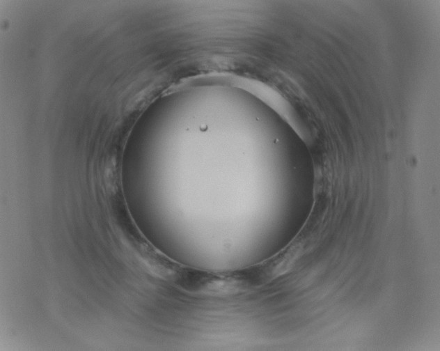 X0000076270364200610122301