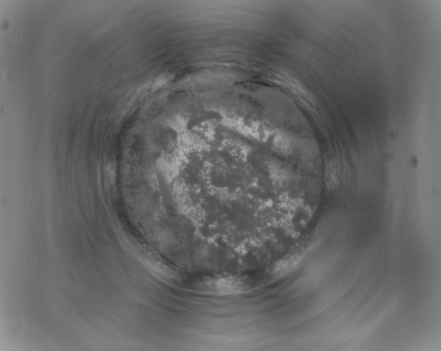 X0000076270365200610122301