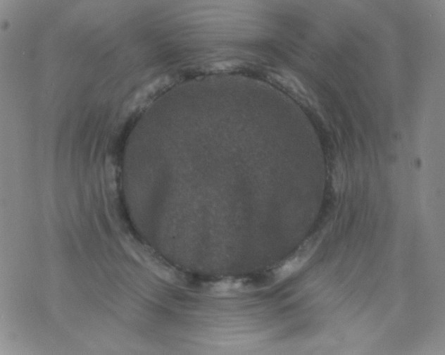 X0000076270366200610122301