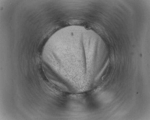 X0000076270367200610122301