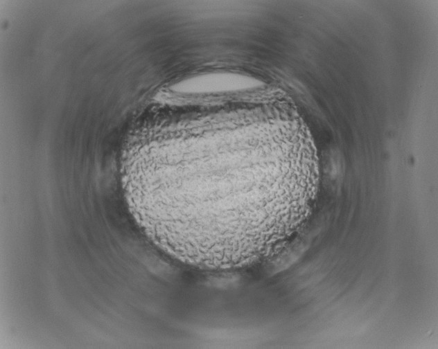 X0000076270369200610122301