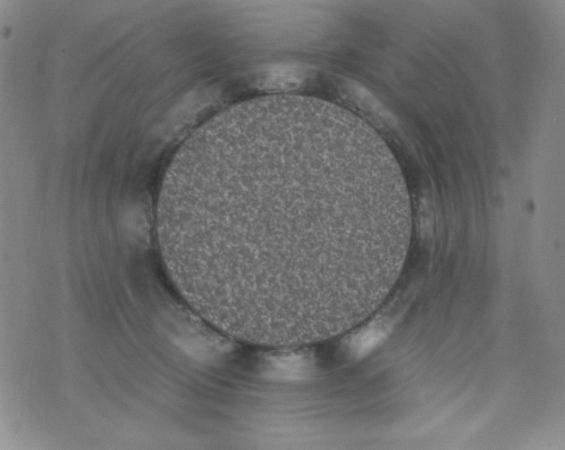 X0000076270370200610122301