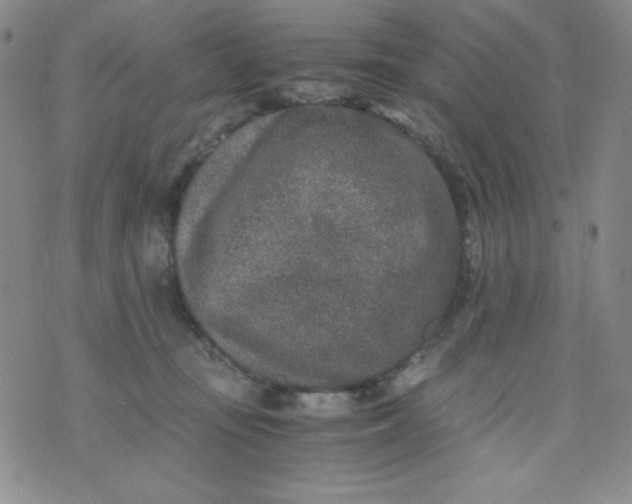 X0000076270371200610122301