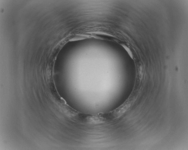 X0000076270372200610122301