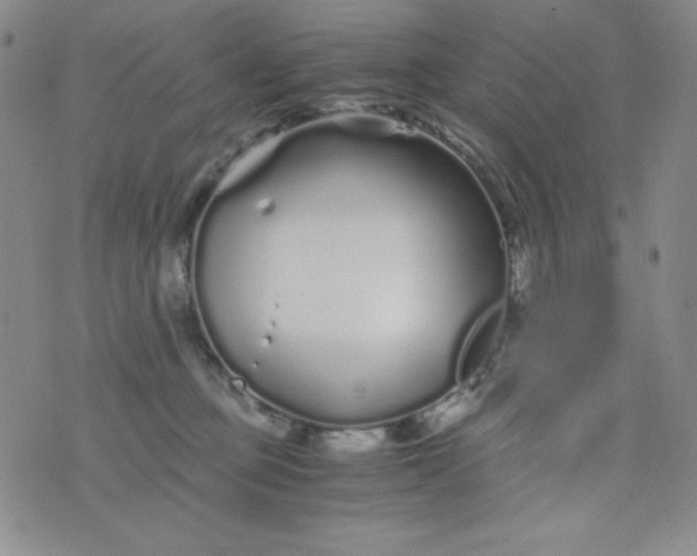 X0000076270373200610122301