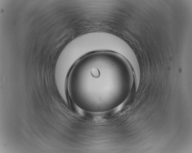 X0000076270376200610122301