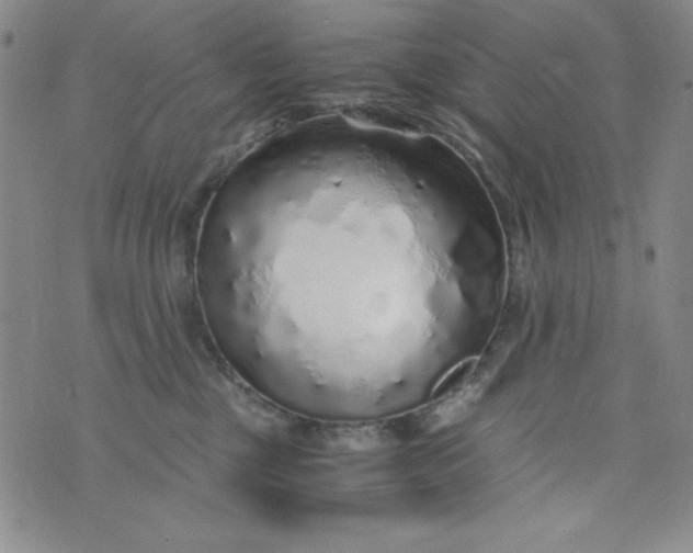 X0000076270377200610122301