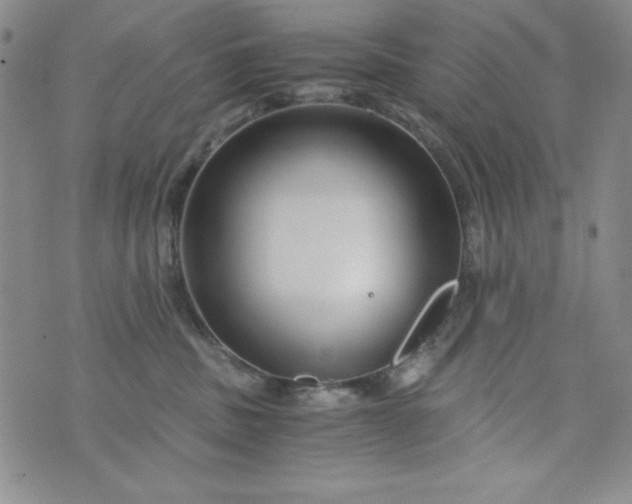 X0000076270379200610122301