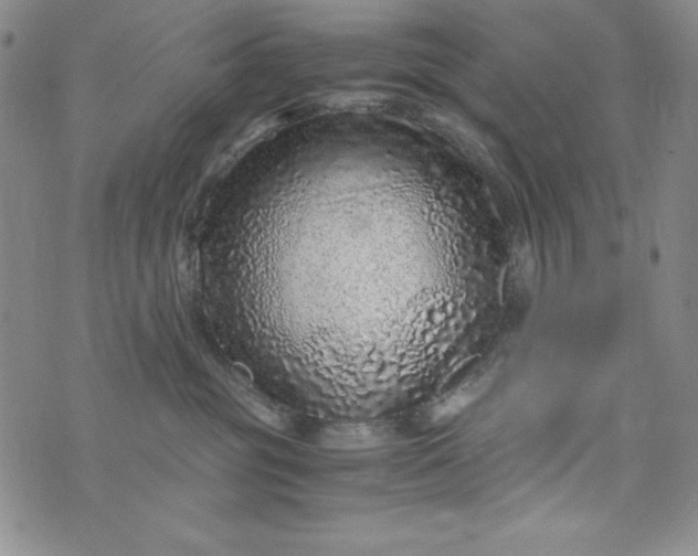 X0000076270381200610122301