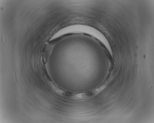 X0000076270382200610122301