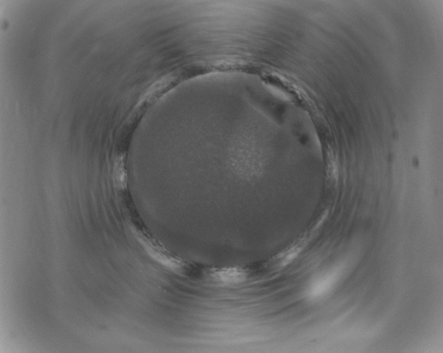 X0000076270383200610122301