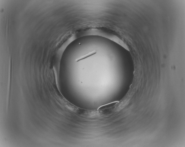 X0000076270384200610122301