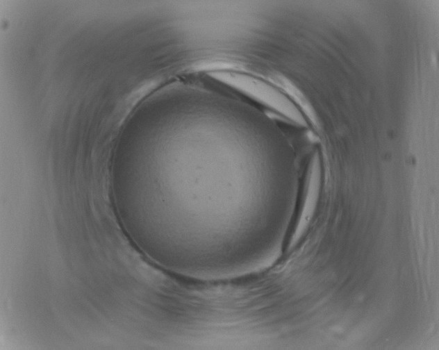 X0000076270385200610122300