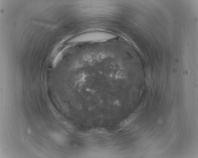 X0000076270386200610122300