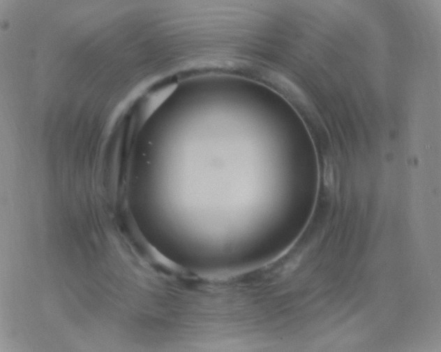 X0000076270388200610122300