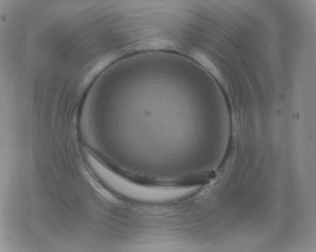 X0000076270389200610122300