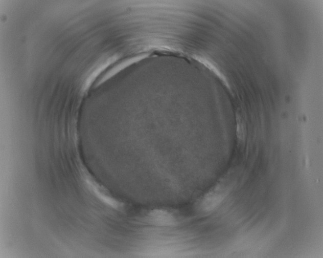 X0000076270390200610122300