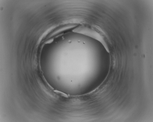 X0000076270392200610122300